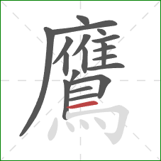 鷹的笔顺第19画：横
