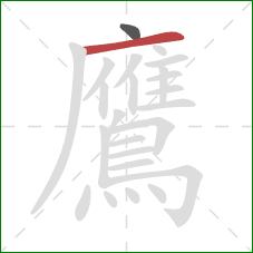 鷹的笔顺第2画：横