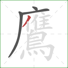 鷹的笔顺第4画：撇