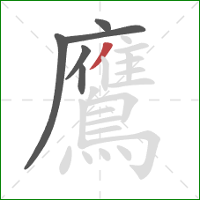 鷹的笔顺第6画：撇