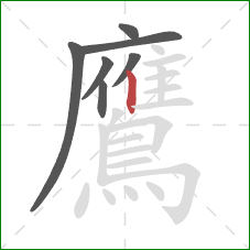 鷹的笔顺第7画：竖