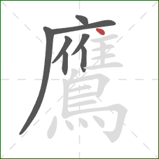 鷹的笔顺第8画：点