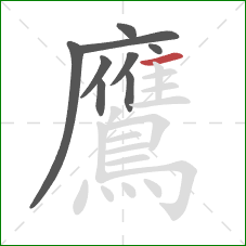 鷹的笔顺第9画：横