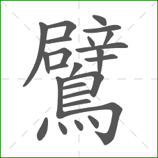 鷿的笔顺