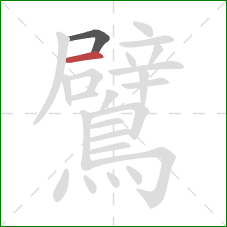 鷿的笔顺第2画：横