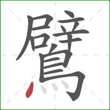 鷿的笔顺第21画：点