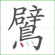 鷿的笔顺第22画：点
