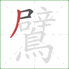 鷿的笔顺第3画：撇
