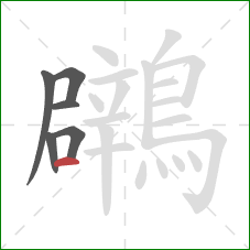 鸊的笔顺第6画：横