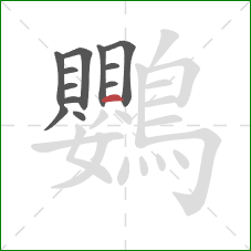 鸚的笔顺第12画：横