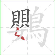 鸚的笔顺第15画：撇点