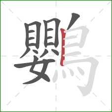 鸚的笔顺第19画：竖