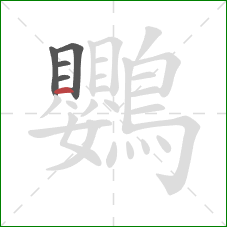 鸚的笔顺第5画：横