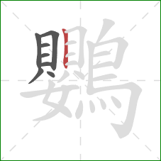 鸚的笔顺第8画：竖