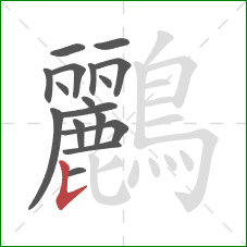 鸝的笔顺第17画：竖提