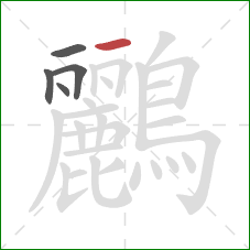 鸝的笔顺第5画：横