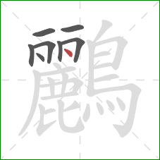 鸝的笔顺第8画：点
