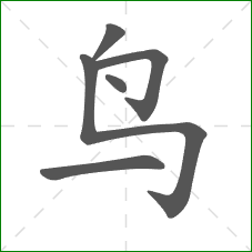 鸟的笔顺
