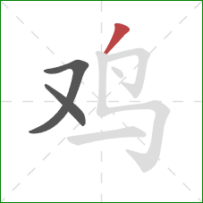 鸡的笔顺第3画：撇
