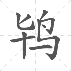 鸨的笔顺