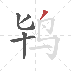 鸨的笔顺第5画：撇