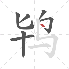 鸨的笔顺第7画：点