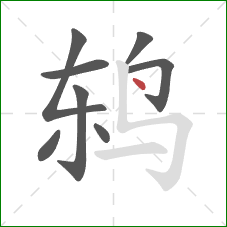 鸫的笔顺第8画：点
