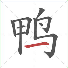 鸭的笔顺第10画：横