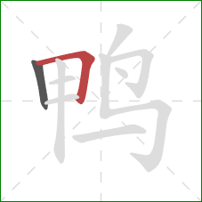 鸭的笔顺第2画：横折