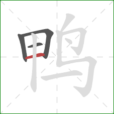 鸭的笔顺第4画：横