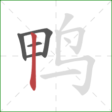 鸭的笔顺第5画：竖