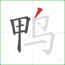 鸭的笔顺第6画：撇