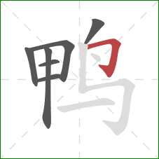 鸭的笔顺第7画：横折钩