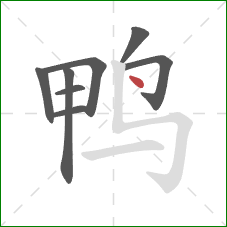 鸭的笔顺第8画：点