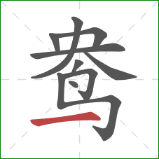 鸯的笔顺第10画：横