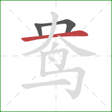 鸯的笔顺第3画：横