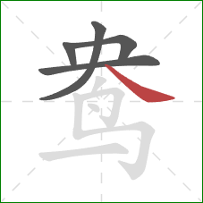 鸯的笔顺第5画：捺