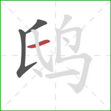 鸱的笔顺第3画：横