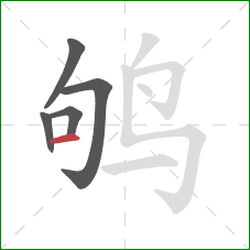 鸲的笔顺第5画：横