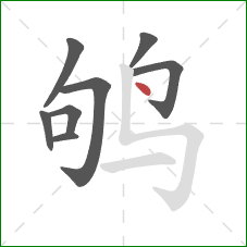 鸲的笔顺第8画：点