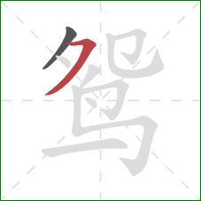 鸳的笔顺第2画：横撇