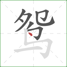 鸳的笔顺第8画：点