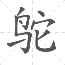 鸵的笔顺 鸵的笔顺