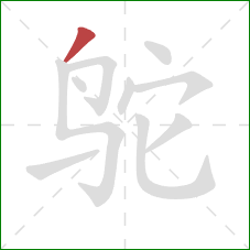 鸵的笔顺第1画:撇 鸵的笔顺第1画:撇