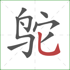 鸵的笔顺第10画:竖弯钩 鸵的笔顺第10画:竖弯钩