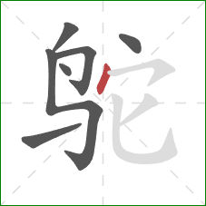 鸵的笔顺第7画:点 鸵的笔顺第7画:点