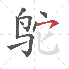 鸵的笔顺第8画:横钩 鸵的笔顺第8画:横钩