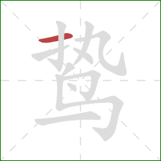 鸷的笔顺第1画:横 鸷的笔顺第1画:横