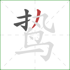 鸷的笔顺第4画:撇 鸷的笔顺第4画:撇