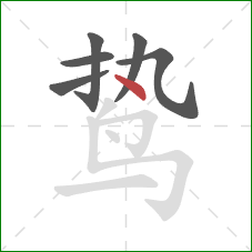 鸷的笔顺第6画:点 鸷的笔顺第6画:点